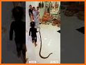 Snack video - Indian Short video & Status Saver related image