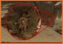 Mars Mystery - Hidden Objects related image