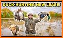Ducks Hunting related image
