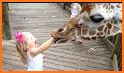 Kids Zoo PRO related image