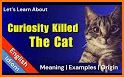 Curiosity Killed The Cat related image