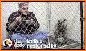 Dog Rescue! related image