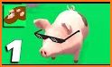 Tricky Pigs related image