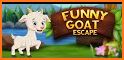 Playful Pet Goat Escape related image