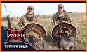 Turkey Calls for Hunting AU related image