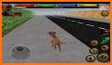 Labrador Pet Care - Puppy Love Simulator related image