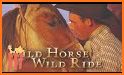 Wild Horses Race Field related image