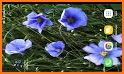 Spring Flowers Live Wallpaper related image