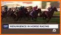 Horse Racing News related image
