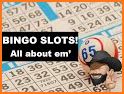 Bingo Slots - Casino Games related image