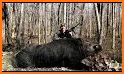 Wild Hunt - Pig Sniper Shooting related image