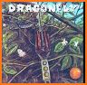 Dragon, Fly! Full related image