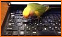 Cute Love Birds Keyboard related image