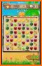Fruit Blast Color - Connect & Match 5 Fruits Quest related image