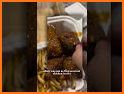 Project Pollo related image