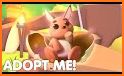 adopte pet baby related image