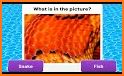 Zoom Out 3D! Picture Quiz game related image