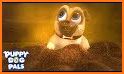 Puppy Dog Pals Of Puppy Dog related image