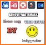 Video Eraser - Remove Watermark from Video related image