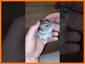 Hamster Biter related image