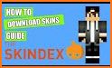 Skindex related image