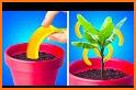 Planting related image