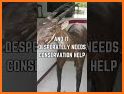 Saola related image