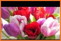 mothers day flowers related image