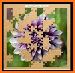 Flower Jigsaw Puzzle Free related image