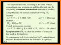 ATPO COA Exam Flashcards related image