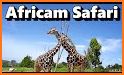 Africam Safari related image
