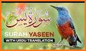 Surah Yasin related image