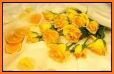 Yellow Rose HD Wallpapers related image