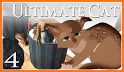Ultimate Cat Adventures: Pet Life Simulator related image