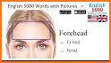 Speak American English - 5000 Phrases & Sentences related image