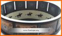 Revolving Show: Zoetrope related image
