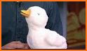My Special Aflac Duck related image