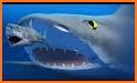 Feed and grow shark fish related image