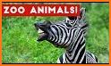 Zoo - Funny Animals related image