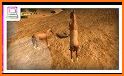 Wild Horse Simulator : Arabian Horse Game related image