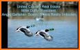 Ducks Unlimited AR related image