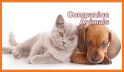 Chicagoland Veterinary Conference related image