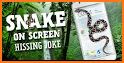 Snake On Screen Hissing Joke related image