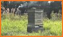 Bee hive monitoring gateway related image