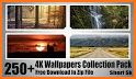 Wallpaper king - HD Wallpapers and 4 K Wallpapers related image