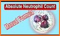 Absolute Neutrophil Count Calculator - Hematology related image