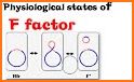 F-Factor related image