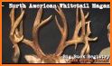 North American Whitetail Magazine related image