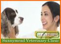 Moreno Valley Vet related image