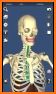 Visual Anatomy 3D | Human related image